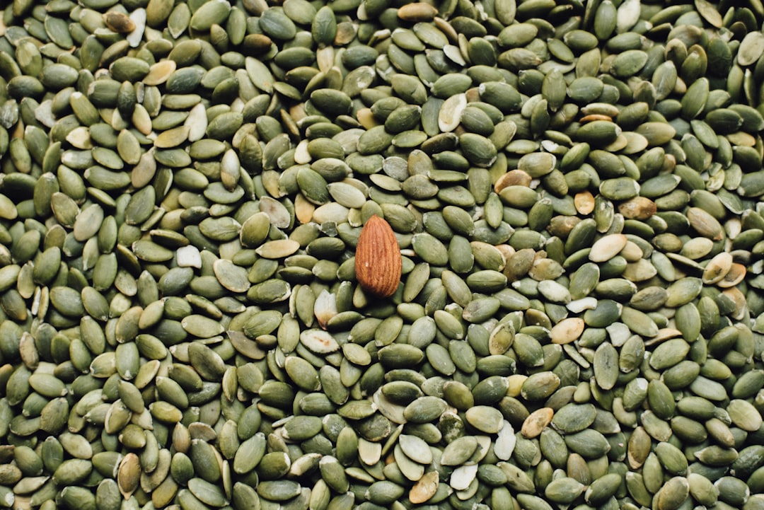 Photo Chia seeds